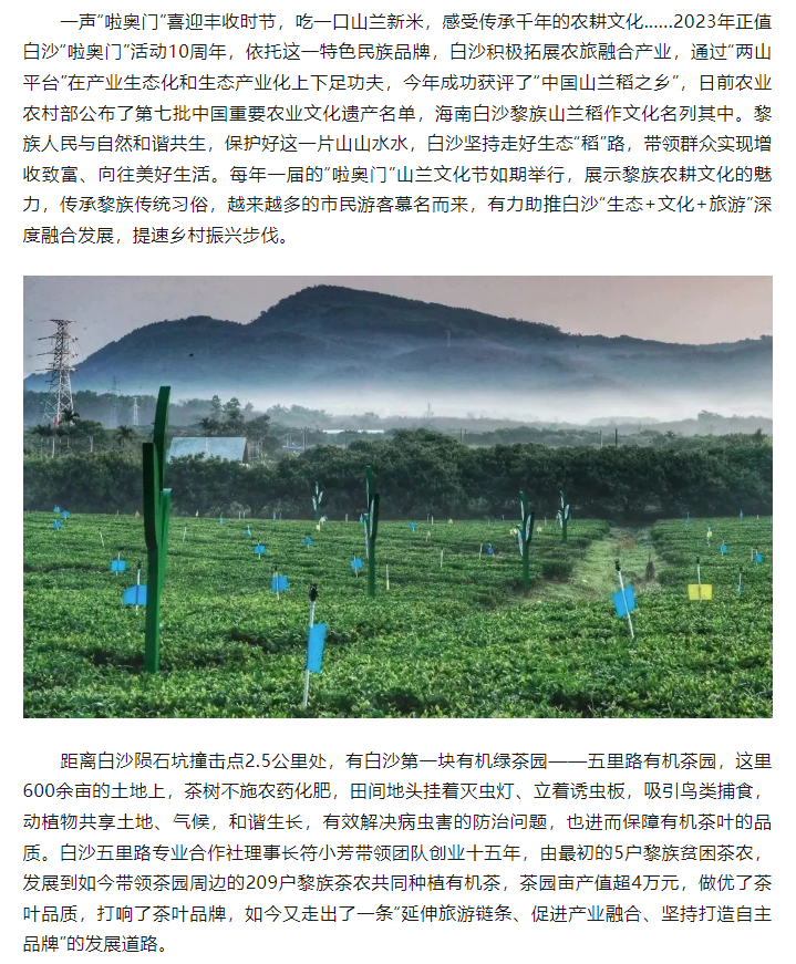 巡礼  白沙：奋力描绘“绿水青山”新画卷7.png